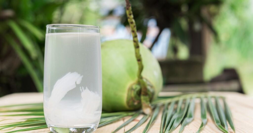 Coconut juice, Drink coconut water 