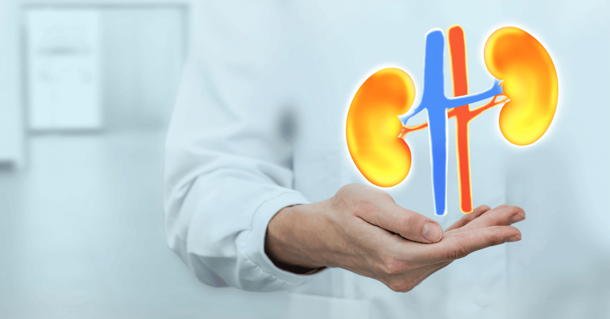 Improve kidney health image of kidneys