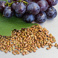 Cortexi review Image of grapes, seeds, and leaves on a white background