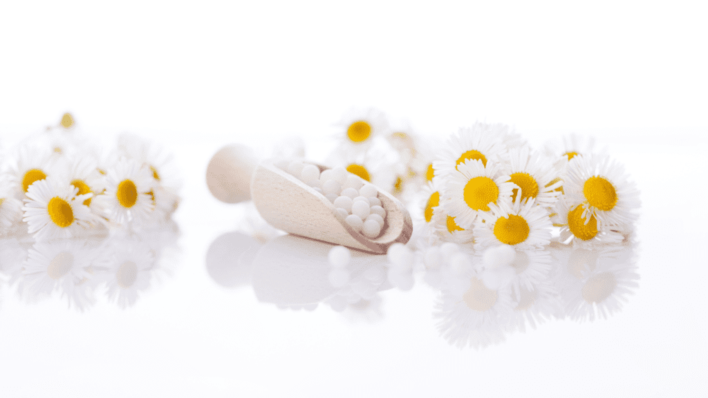 herbal remedy chamomile flowers on white background