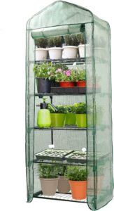 5 tier mini greenhouse
