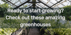 Ready to start growing? greenhouse deals