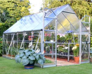 Palram Hobby Grower 8 x 12 Greenhouse outdoor with plants