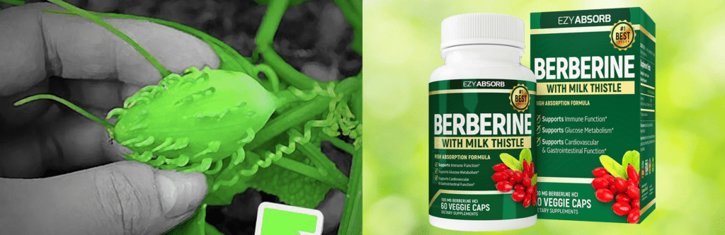 Image of Insulin Herb Berberine supplement