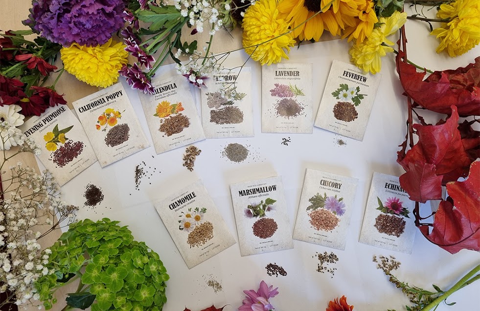 medicinal garden kit seeds