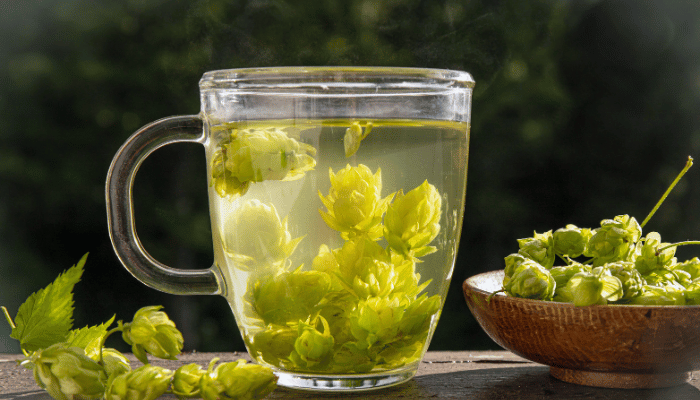 image of clear mug with hops cones steeping in water to make hops tea
