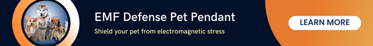 Banner ad for emf Defense pet pendant