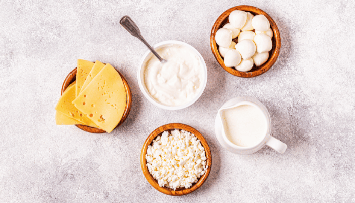 Probiotics fermented dairy products