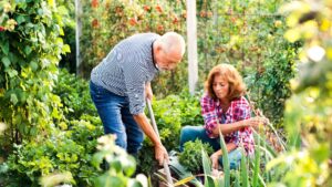senior couple gardening with ergonomic tools for gardening