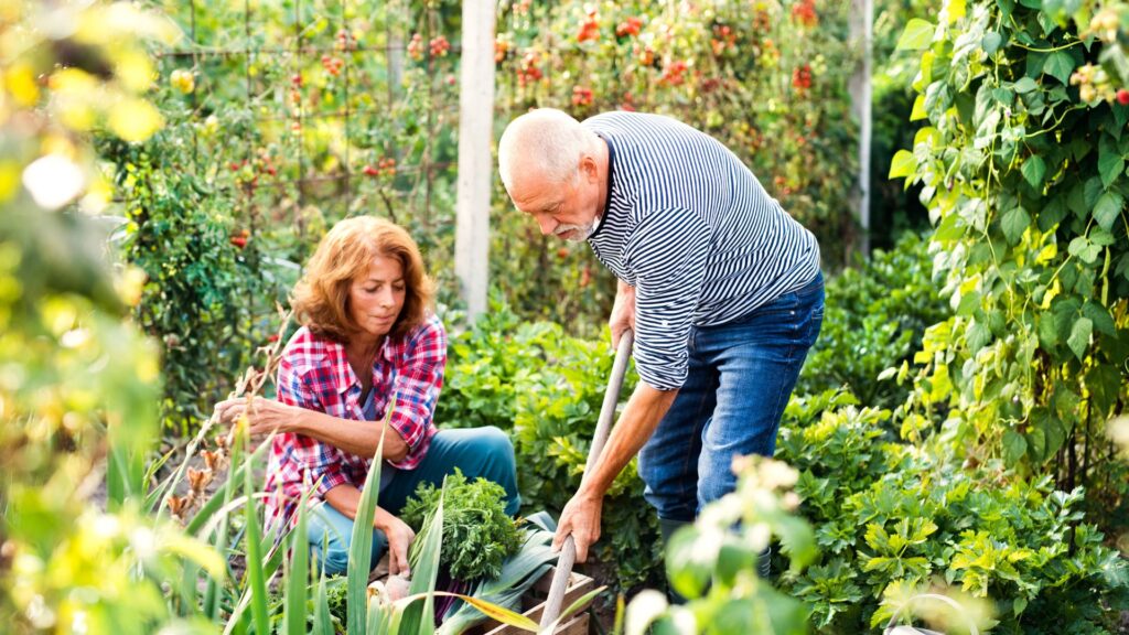 couple working in the garden with ergonomic tools for gardening