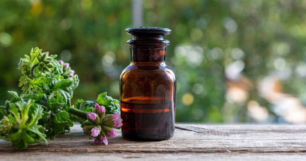 Citronella geranium essential oil on table, close up. Aromatherapy oil, mosquito repellent