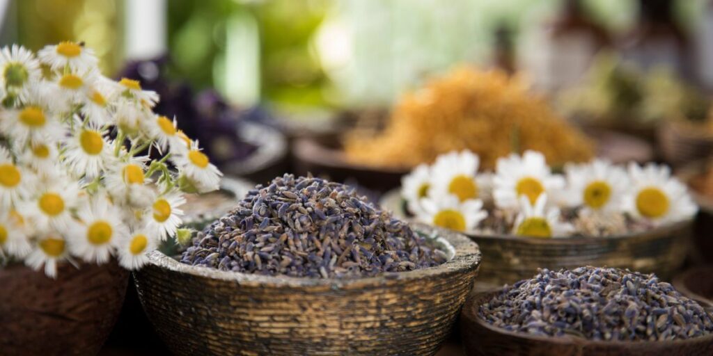herbal remedies recipes Chamomile and lavender flowers in bowls