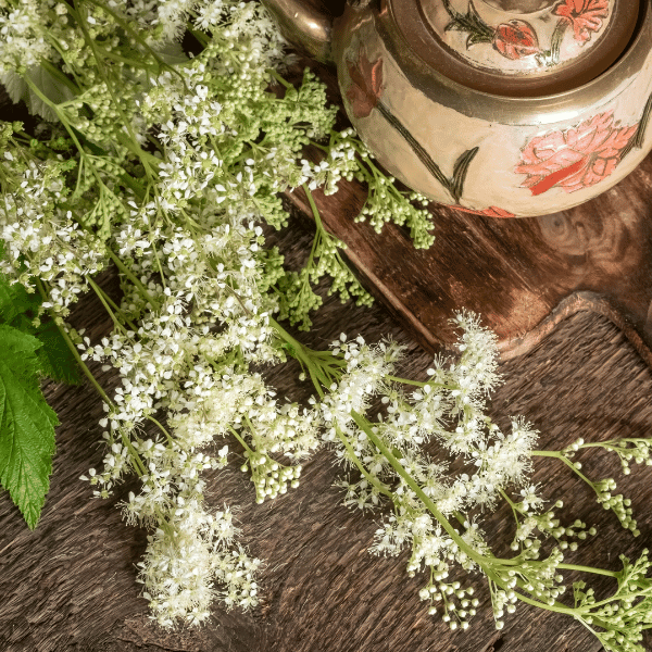 meadowsweet flowers on a wooden background