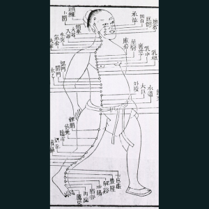 Figure with acupuncture points and meridian for stomach and foot disorders annotated with Chinese characters in a 1875 text. Acupuncture was based on the Chinese medical theory that stimulation by needles at specific points to restored healthy balance of 