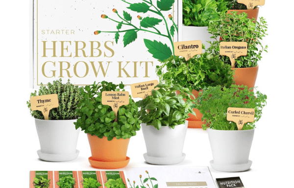 Herb garden seeds kit